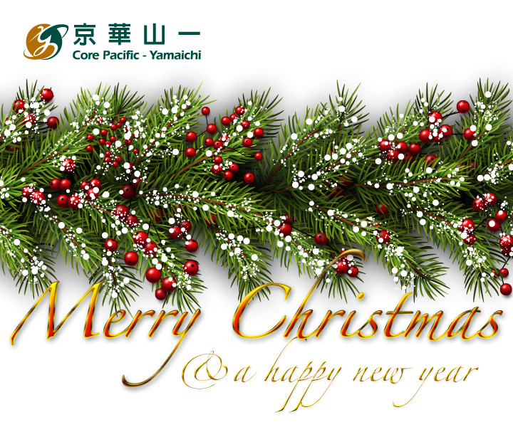 Wish you a Merry Christmas