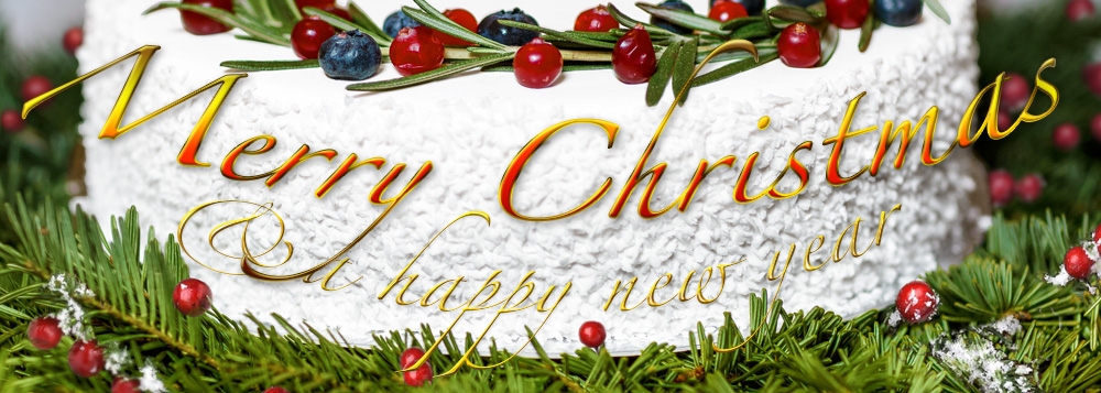 Merry Christmas
